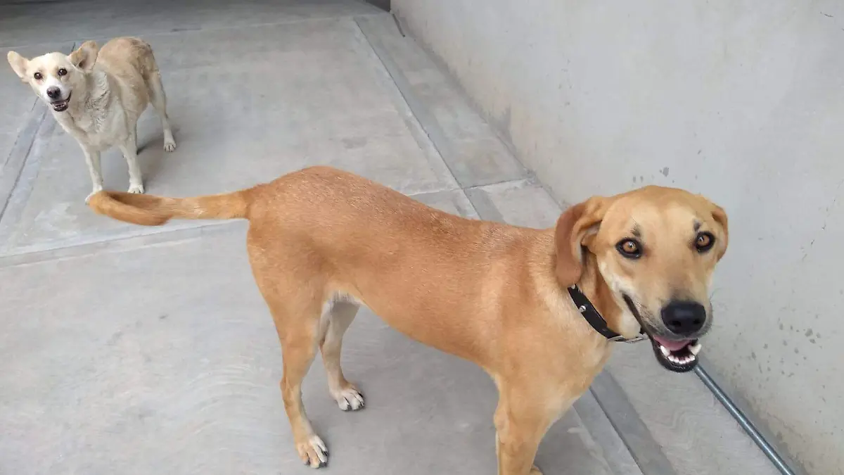 WhatsApp Image 2026-04-01 at 3.08.43 PM