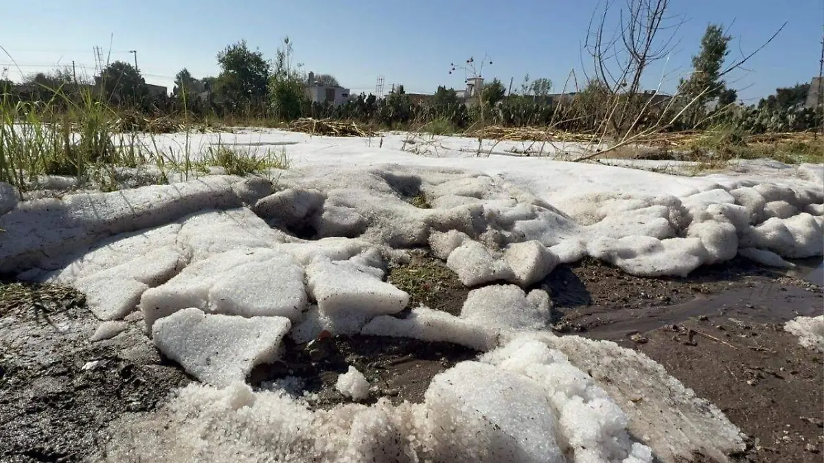 DENSAS
