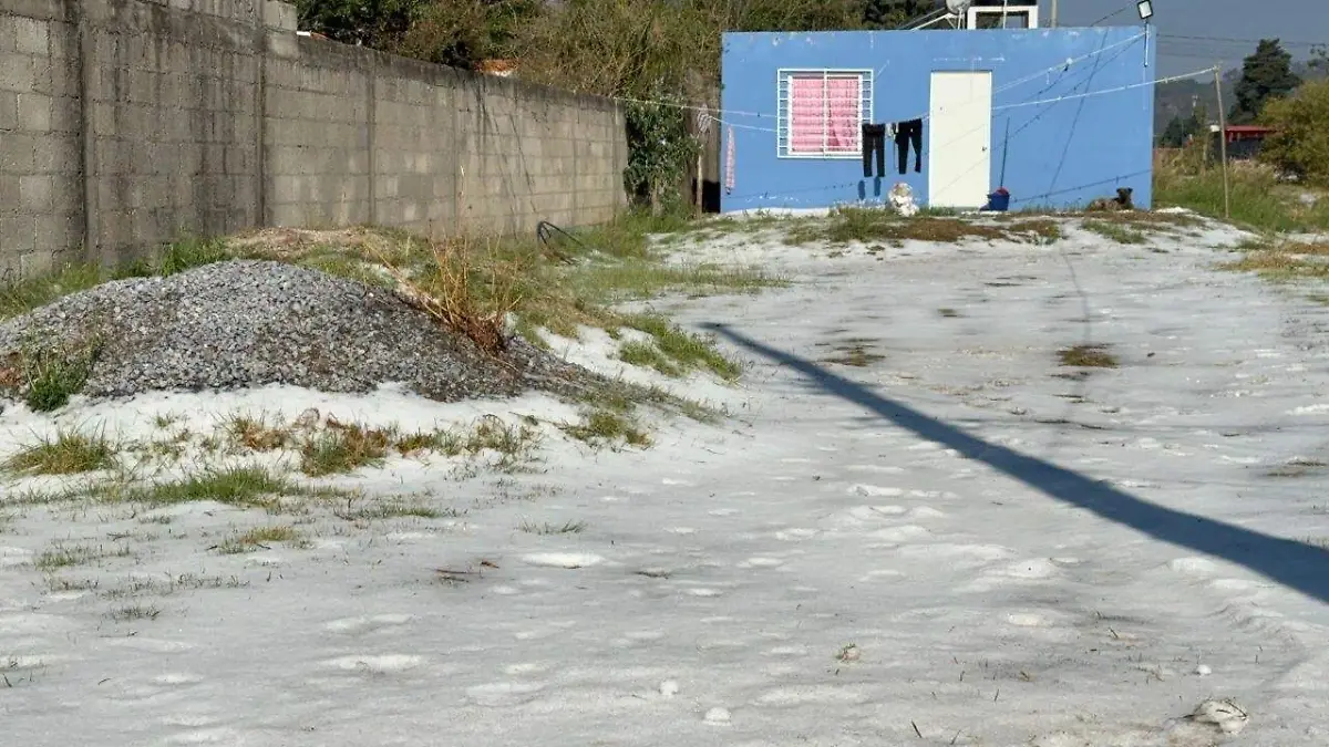 photo_5087268898624703488_y