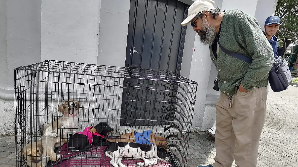 IMG_20260405_133739_1