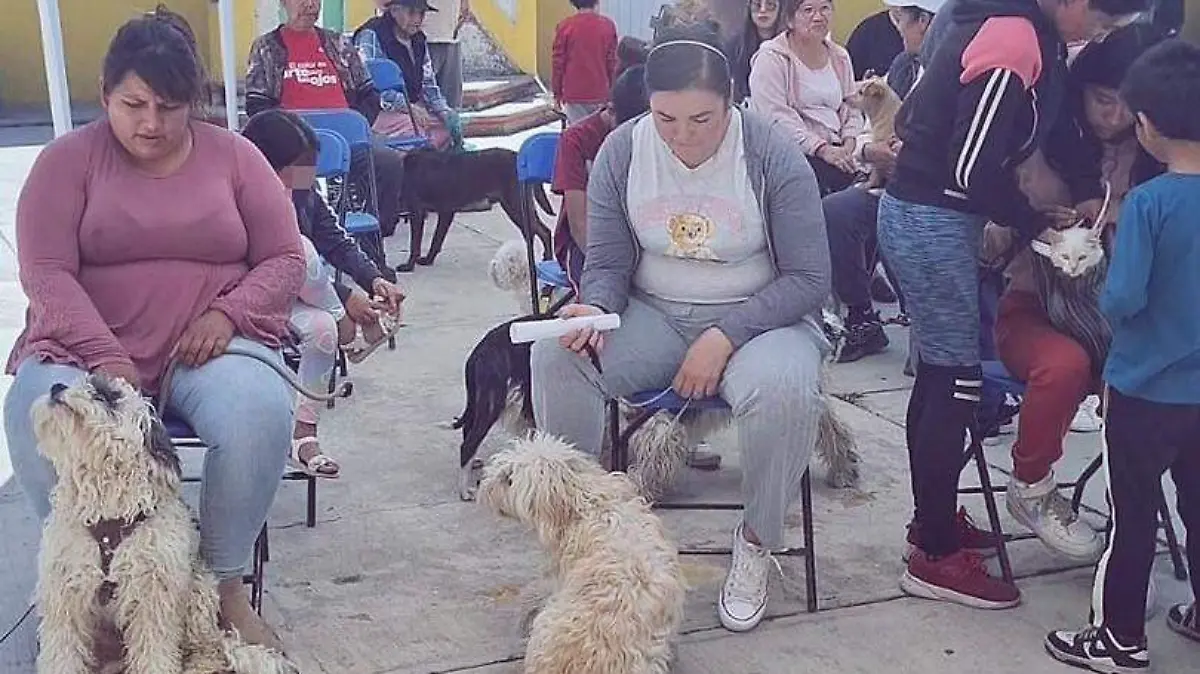 658796238_954838587294008_9041725230384645515_n