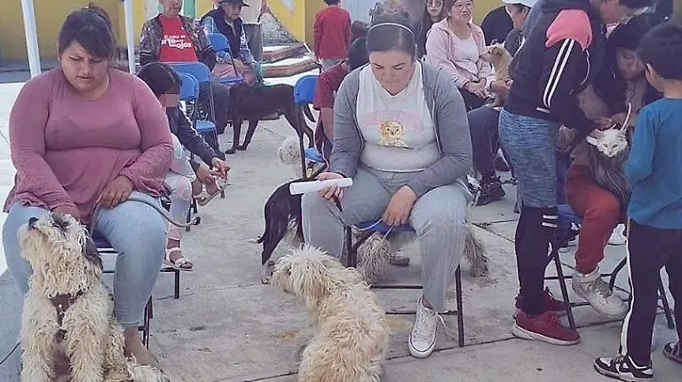 658796238_954838587294008_9041725230384645515_n