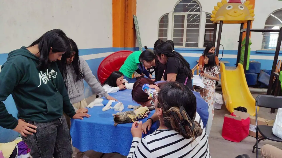 648652211_1342480217925696_3747462237501393513_n