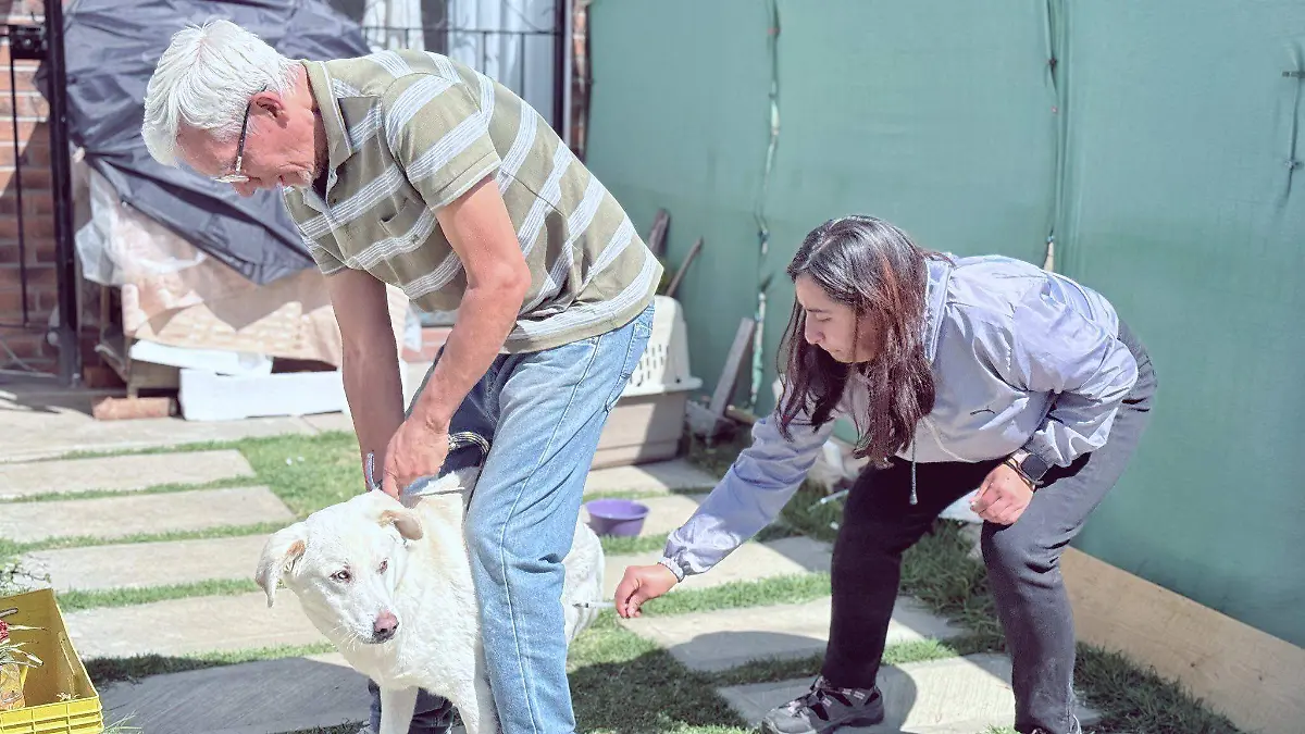 656977869_960587370052463_6157038215909691420_n