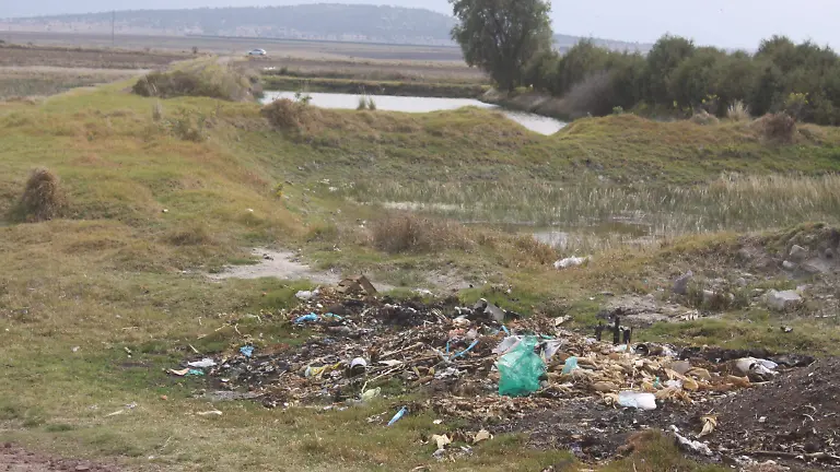 BASURA 6