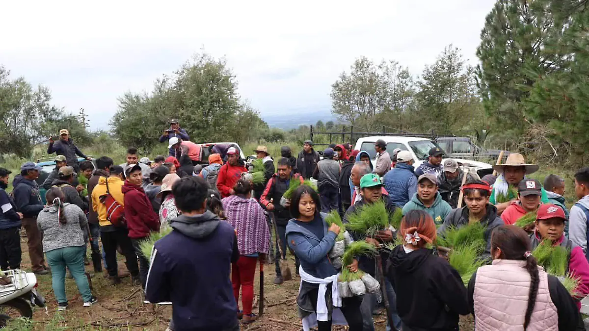 WhatsApp Image 2026-04-10 at 2.00.09 PM