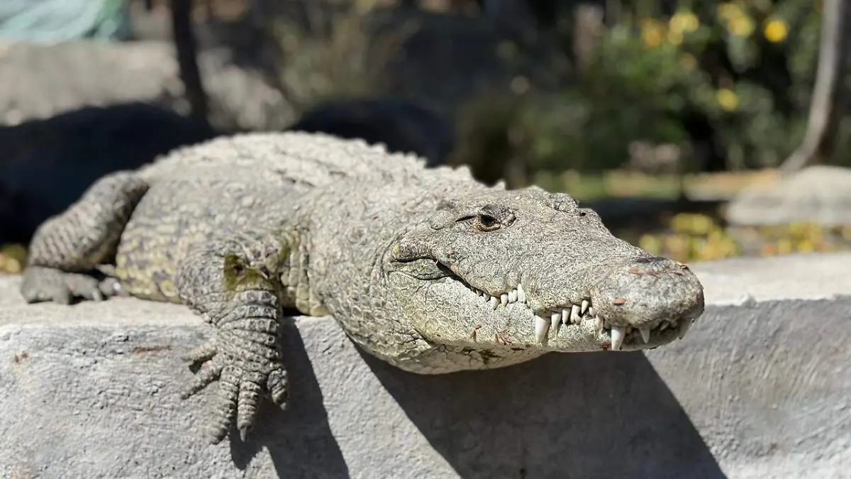 WhatsApp Image 2026-04-10 at 12.56.10 PM