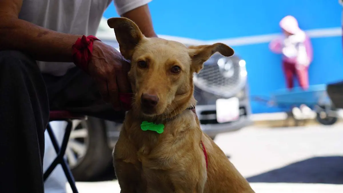 WhatsApp Image 2026-04-14 at 11.18.31 AM (2)