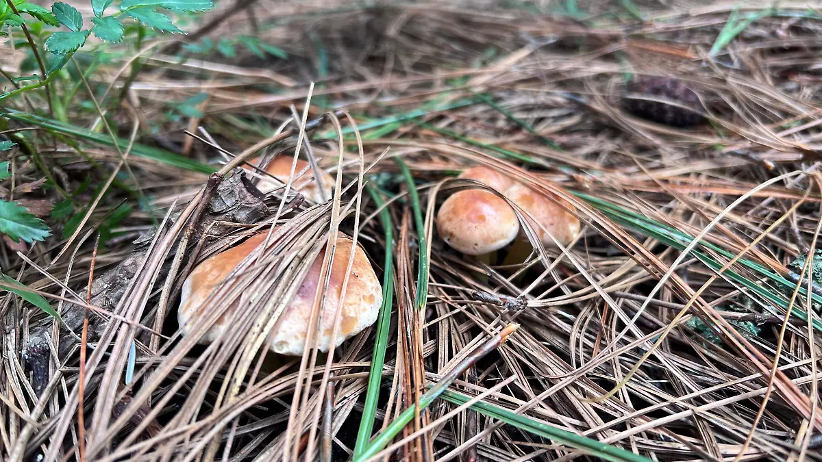 WhatsApp Image 2026-04-14 at 14.27.57