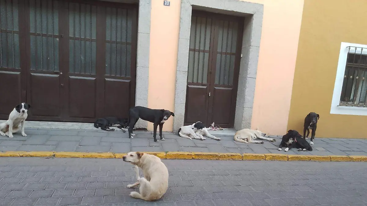 WhatsApp Image 2026-04-16 at 12.56.21 PM