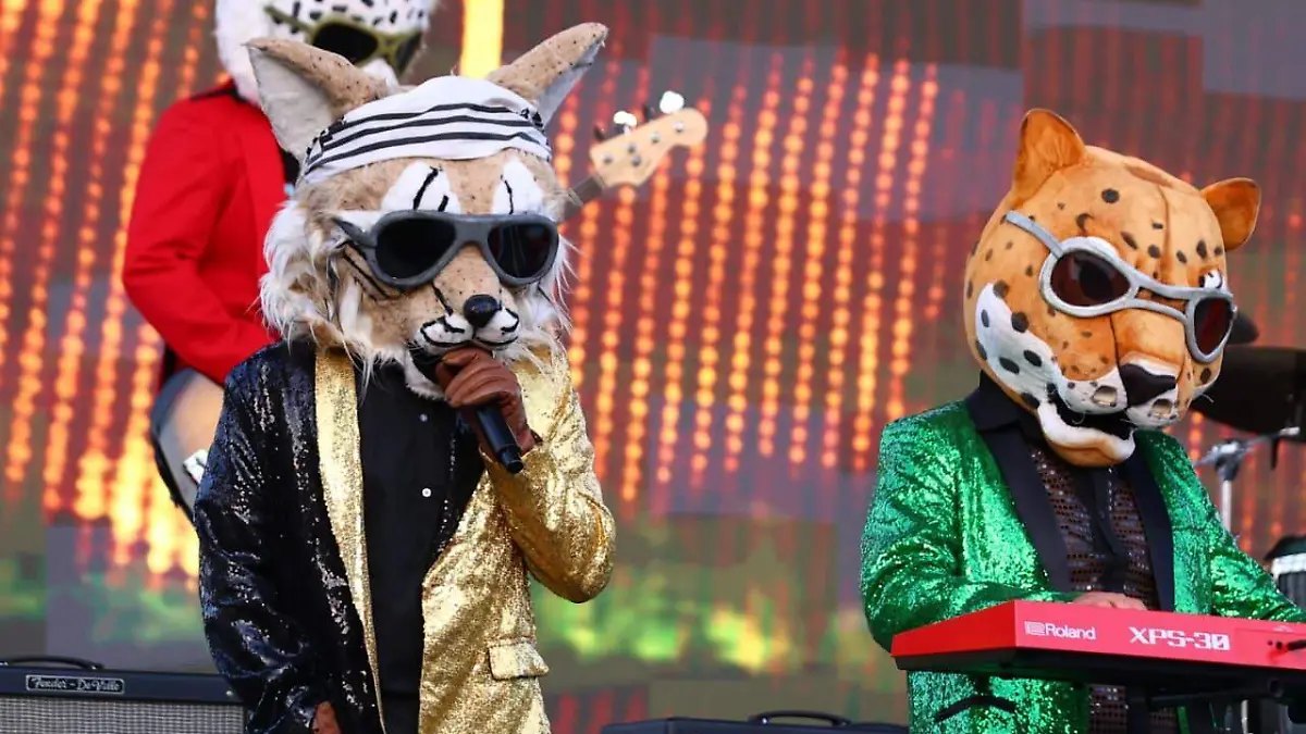 WhatsApp Image 2026-04-15 at 14.36.54