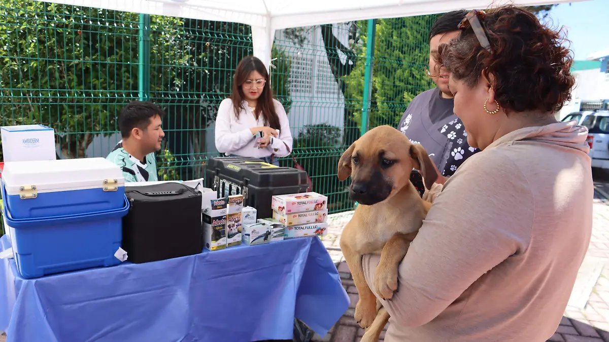 VENTAJAS ESTERILIZAR (2)