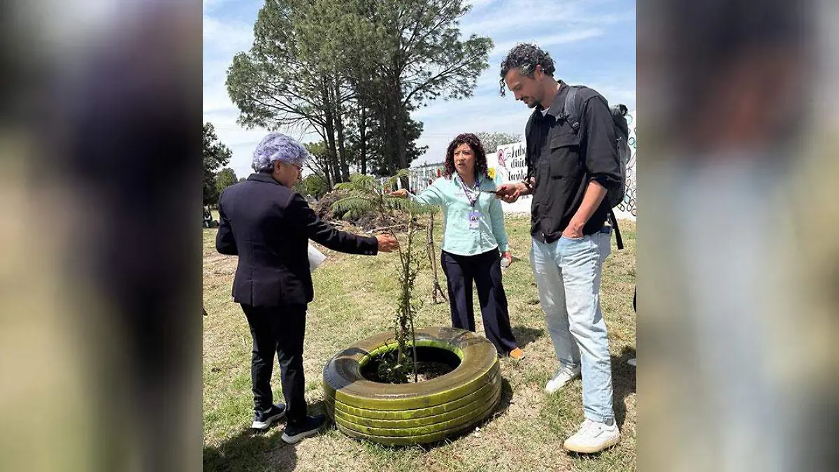estrategia-para-atender-el-cambio-climático-(1)