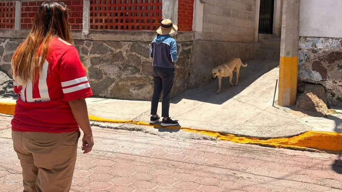 WhatsApp Image 2026-04-19 at 11.00.46 AM