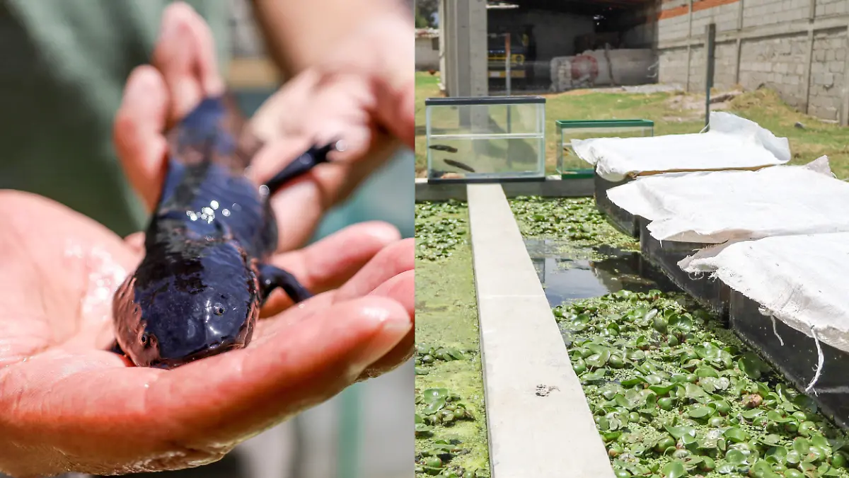 Diseño sin título-2