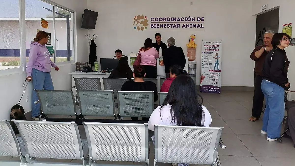 WhatsApp Image 2026-04-20 at 3.49.00 PM