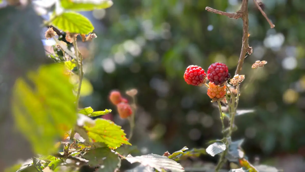 WhatsApp Image 2026-04-22 at 11.36.42