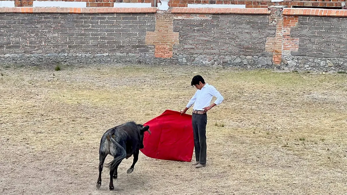 WhatsApp Image 2026-04-22 at 12.10.39