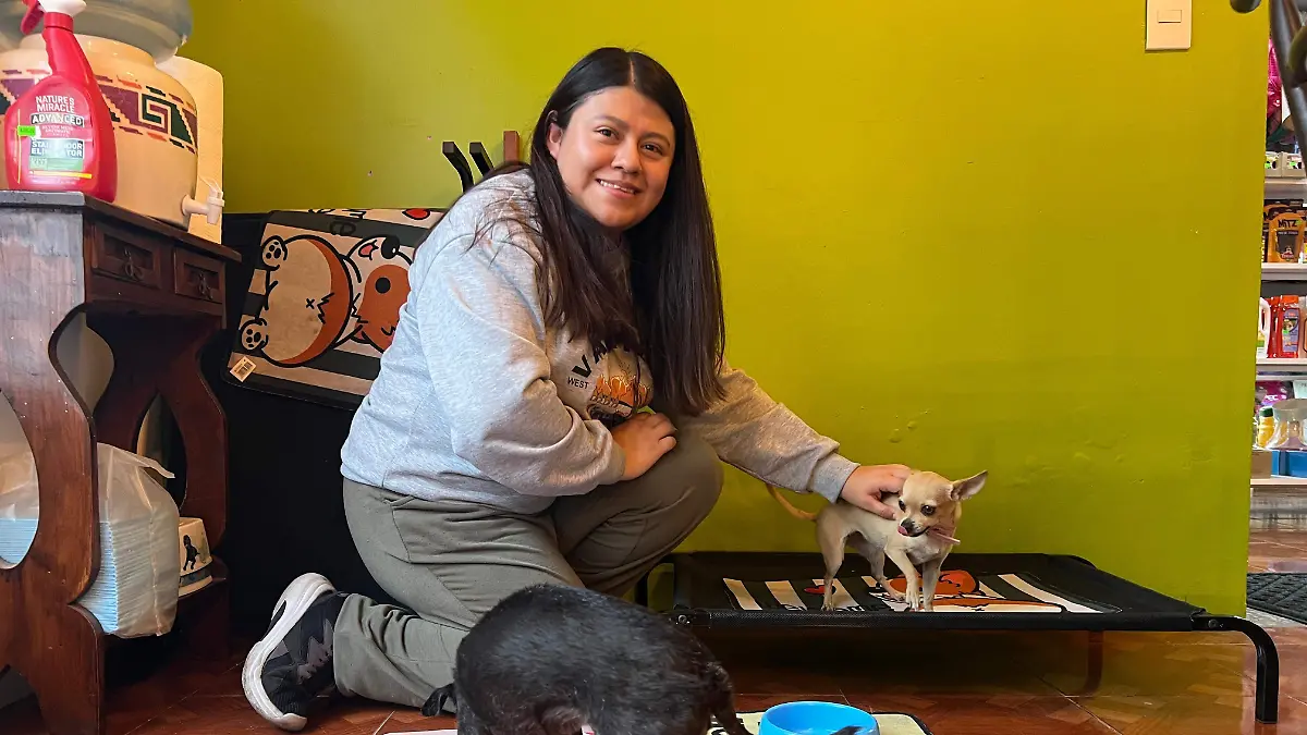 WhatsApp Image 2026-04-22 at 12.48.11