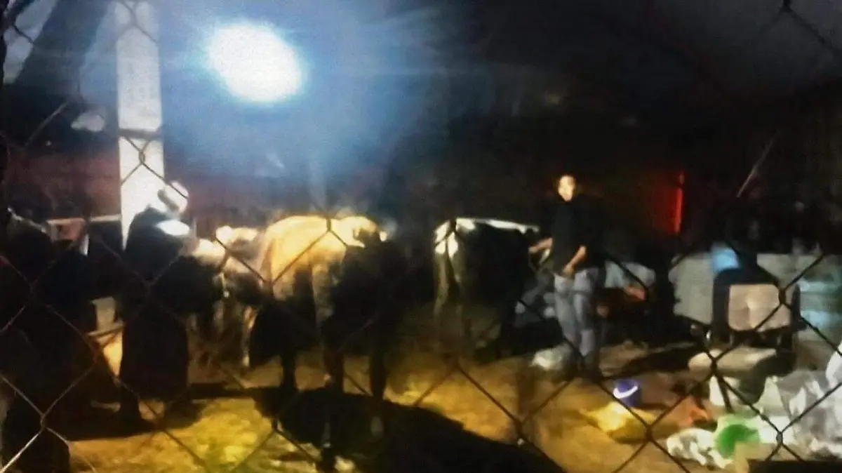 Irrumpe grupo de ladrones en domicilio de Panotla