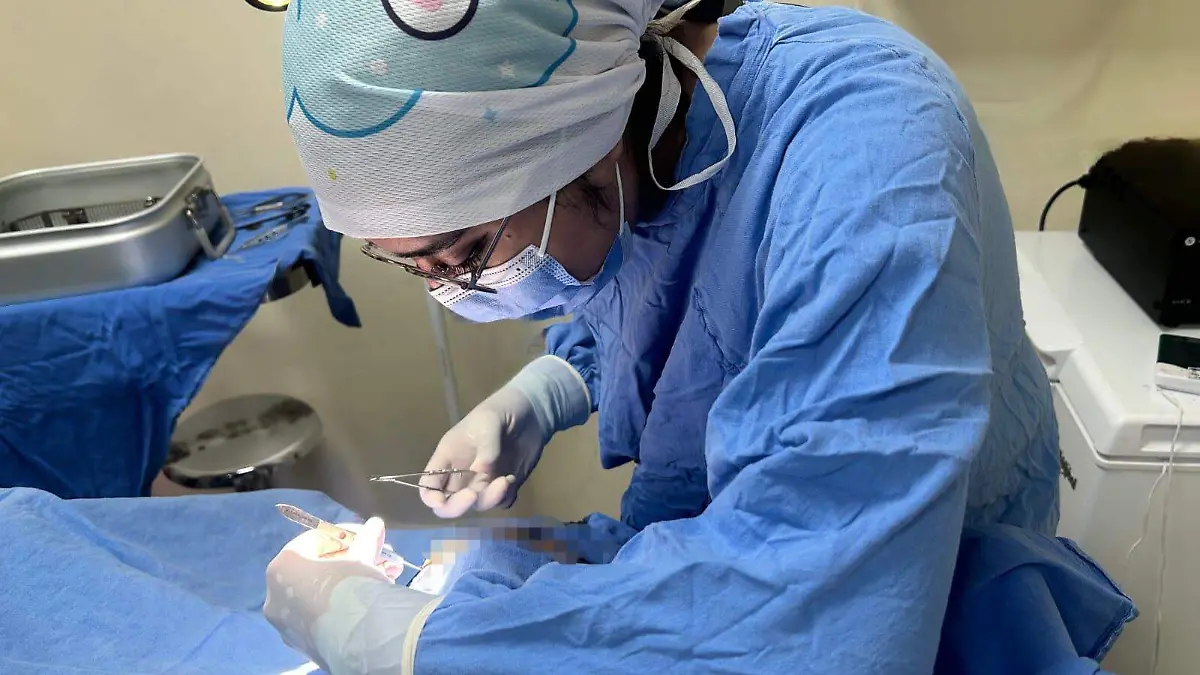 WhatsApp Image 2026-04-24 at 12.12.47 PM