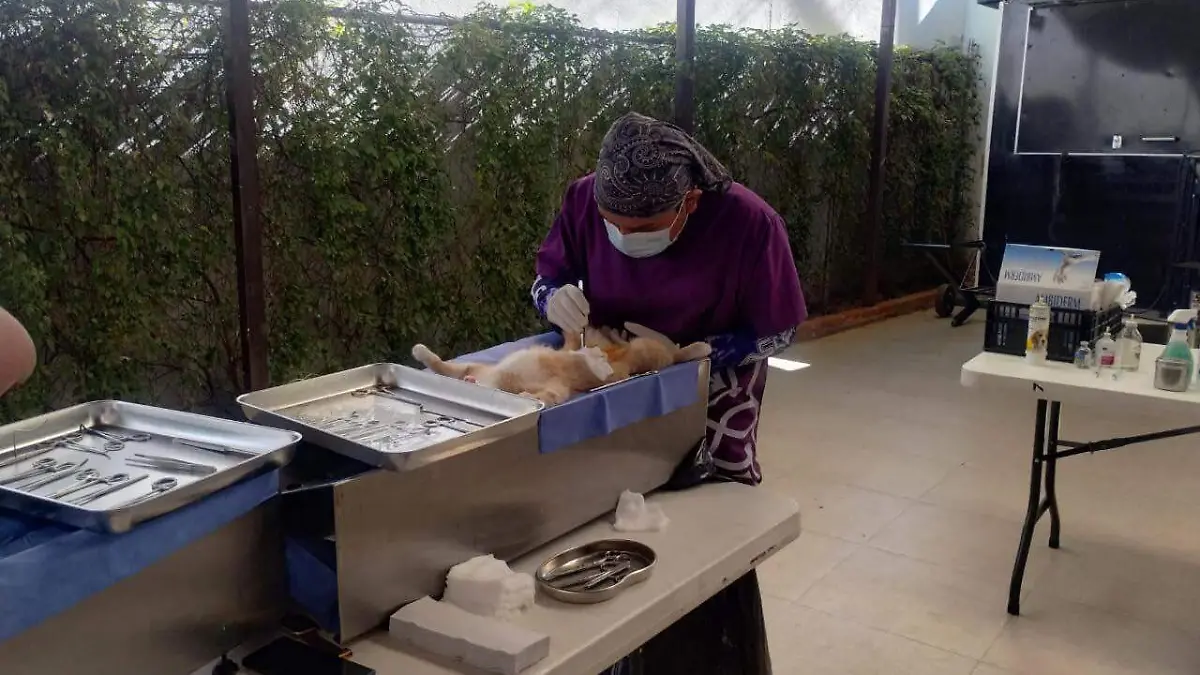 614186369_892672216843979_1031621109626747097_n