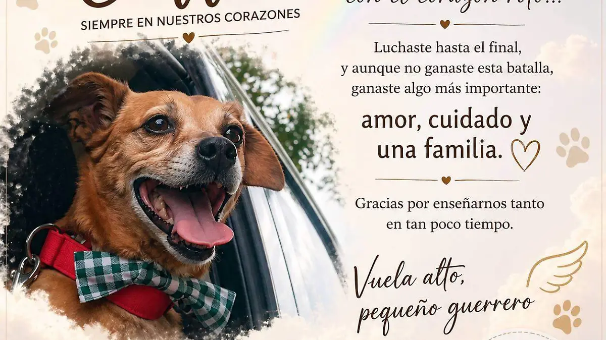 684655117_1434278882076223_6229667318332232090_n