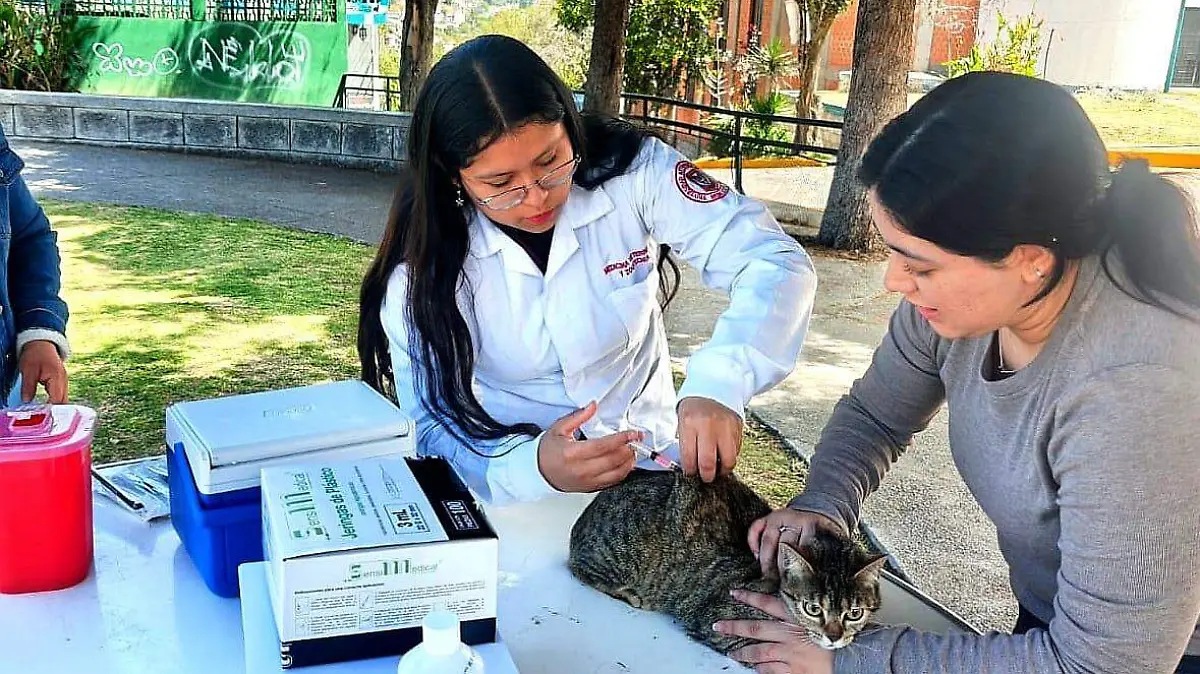 Campaña de Vacunación Antirrábica (1)