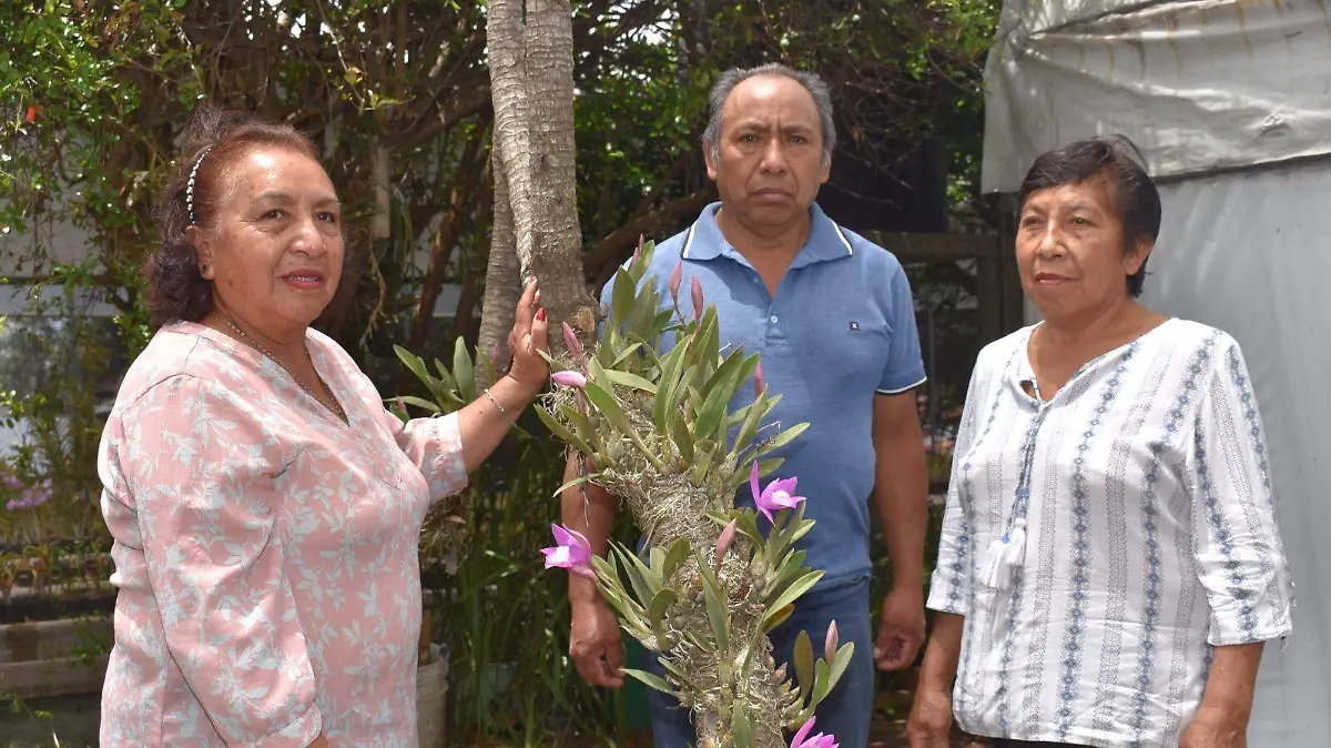 Florece Belén con temporada de orquídeas 3