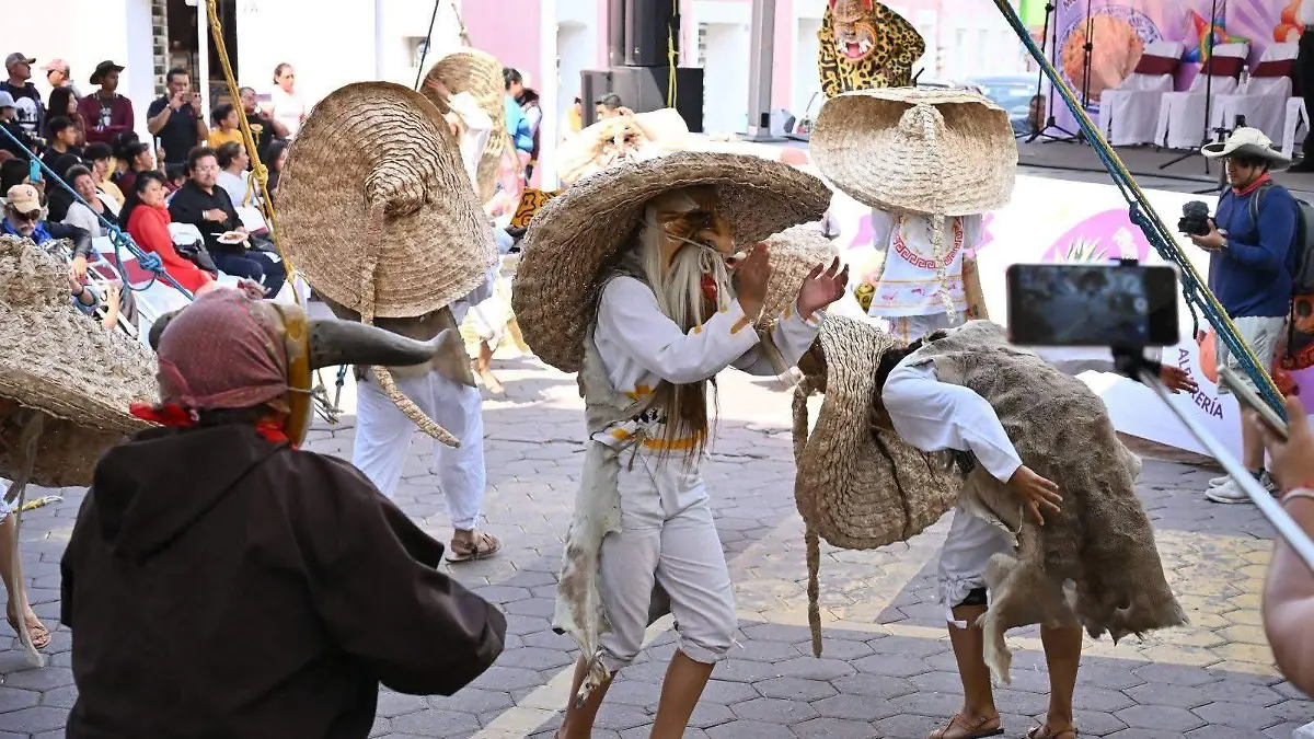 danza 1
