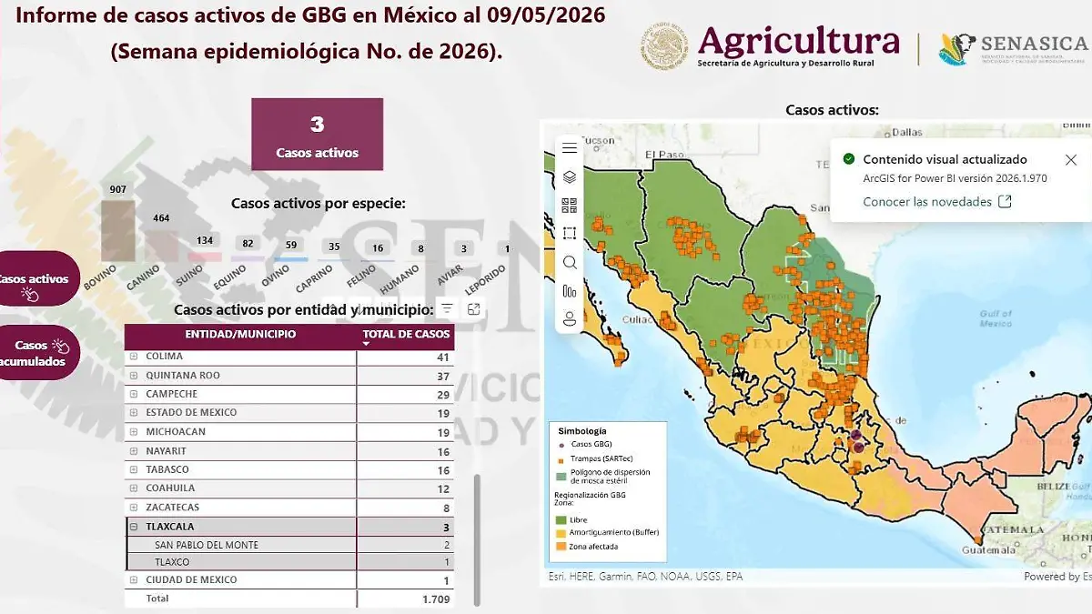 CASOS GUSANO BARRENADOR TLAXCALA