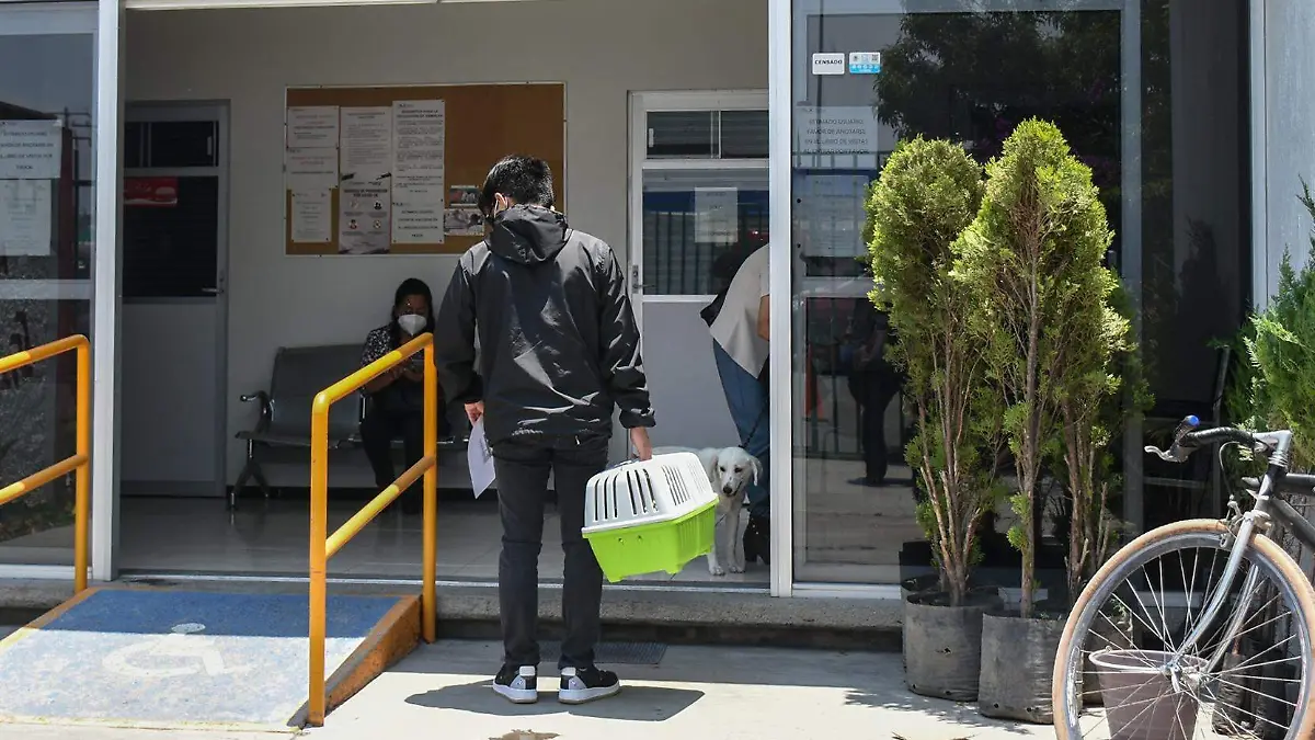 Esterilización 2
