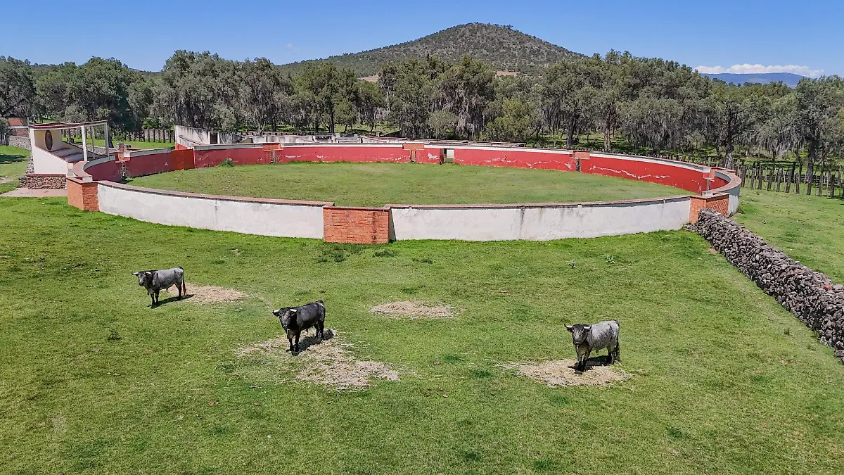 DJI_20260529141602_0771_D