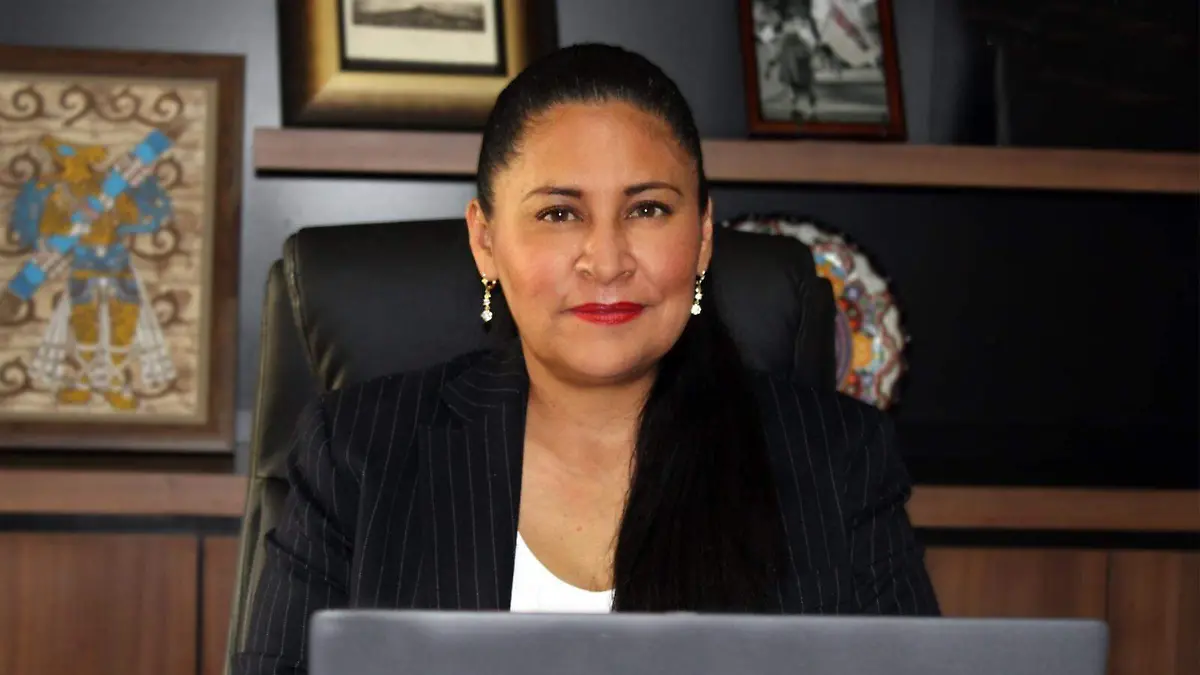 Pide licencia Ana Lilia