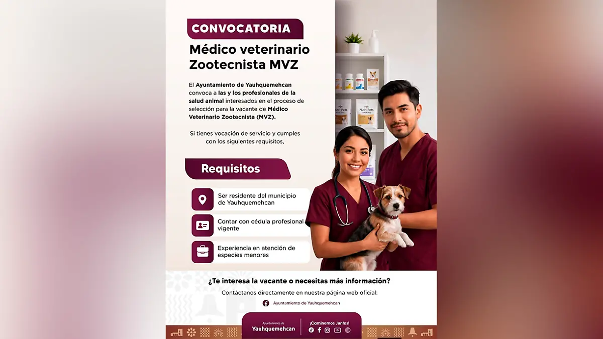 convocatoria 12