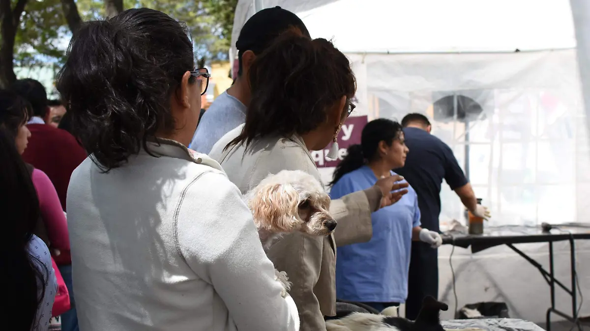 ESTERILIZACIÓN MASCOTAS (3)