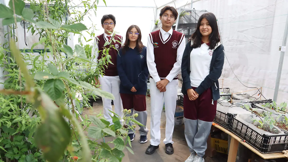 SECUNDARIA TÉCNICA (3)