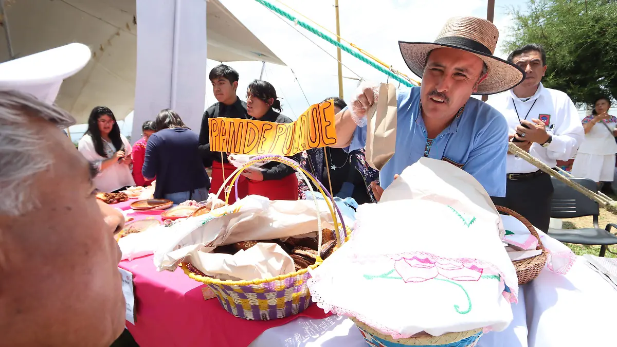 PUEBLOS ORIGINARIOS (15)