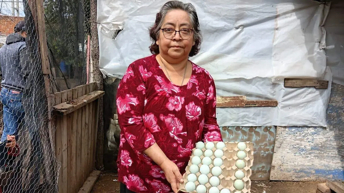 huevos azueles y verdes 5