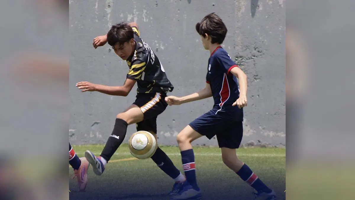 futbol-siete-(1)