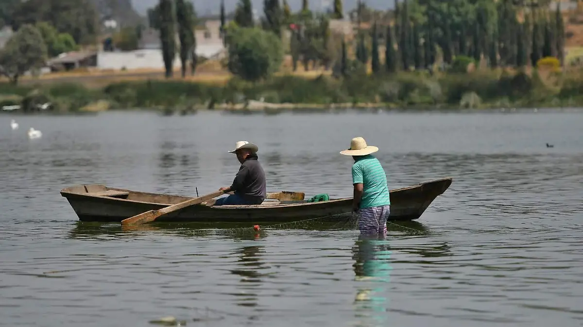 Diálogos Propaet Laguna 1