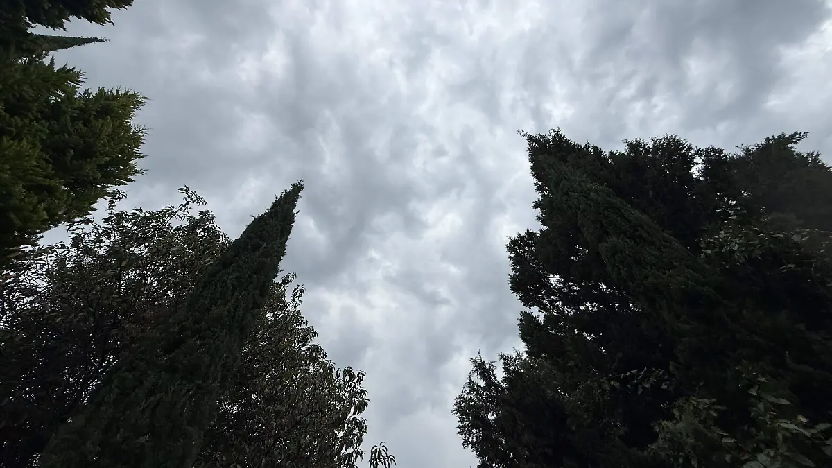 1007691048