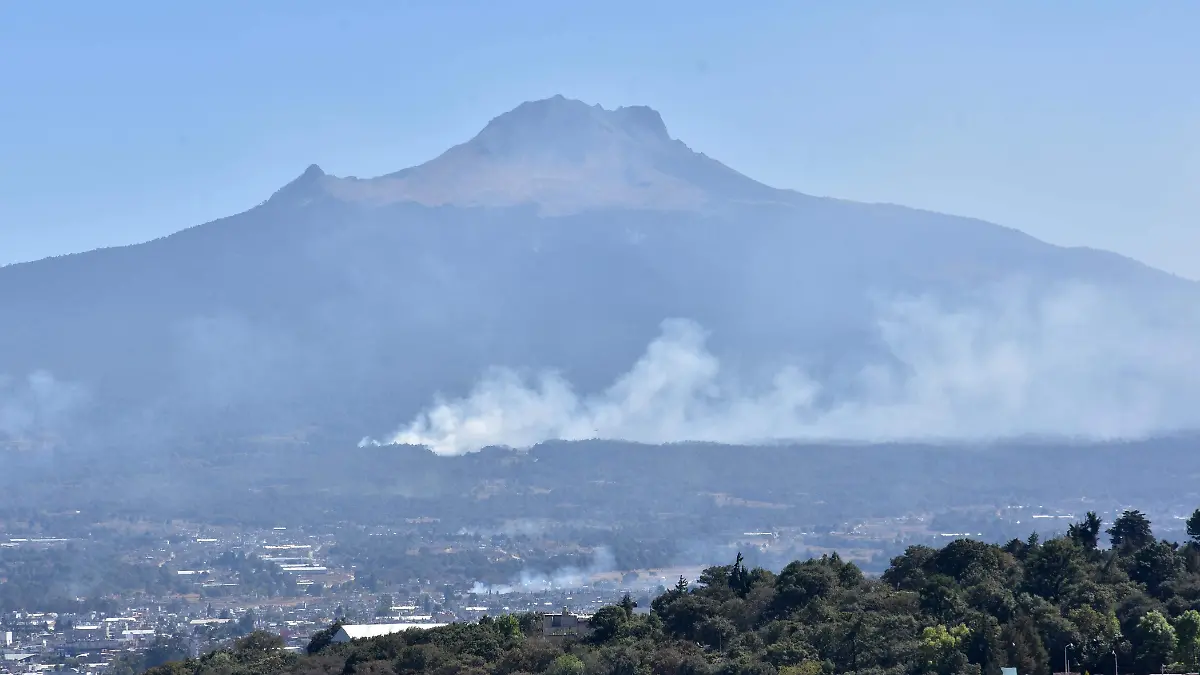 INCENDIOS FORESTALES (4)
