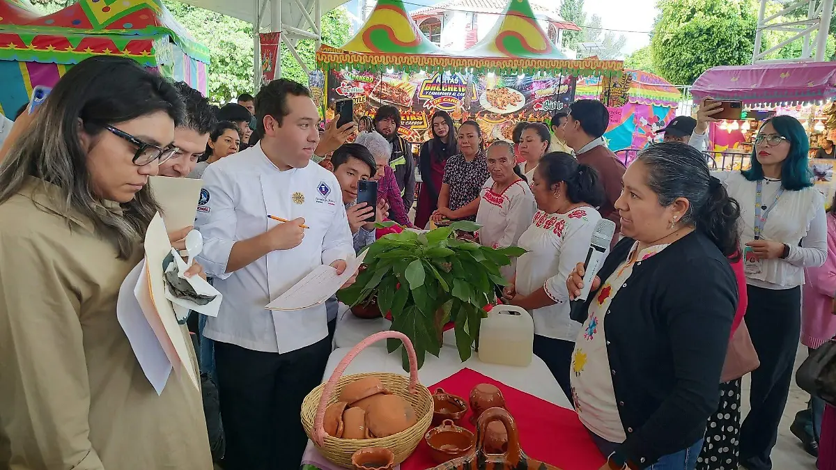 Festival Hongos