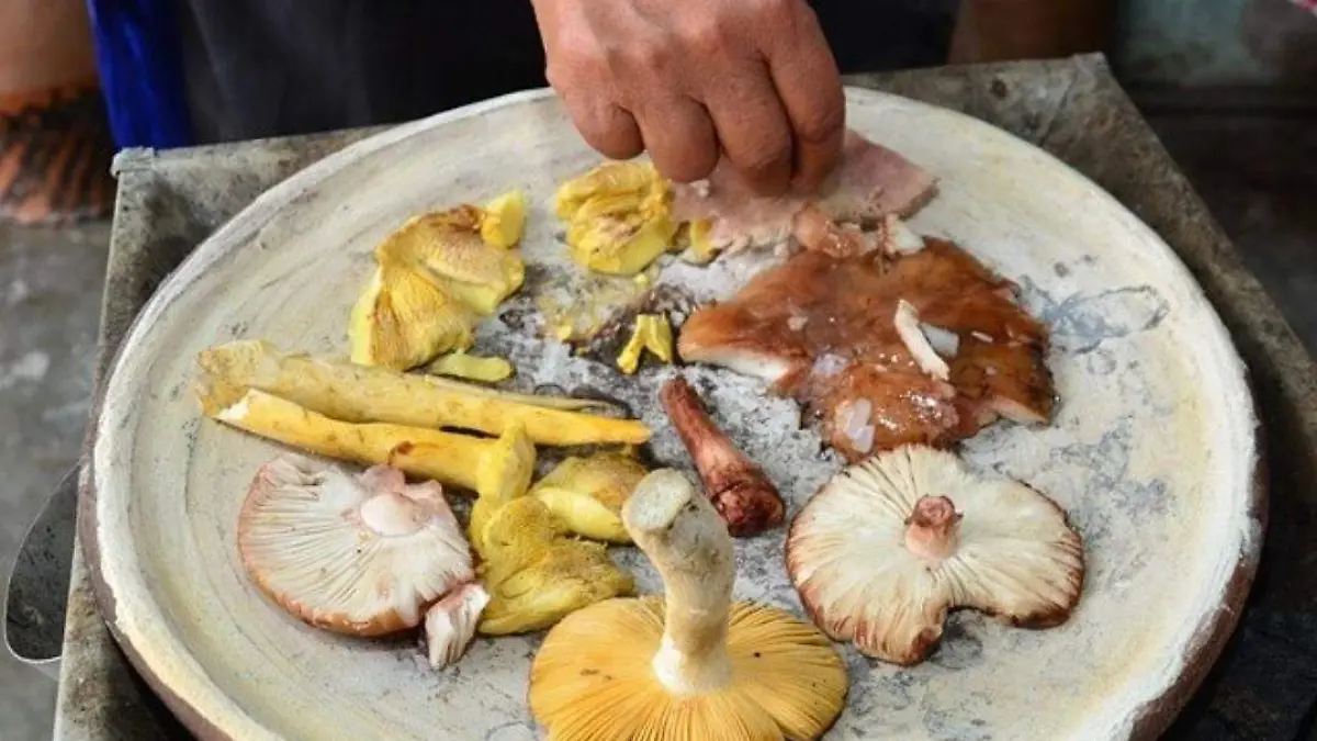 Hongos Comida 1