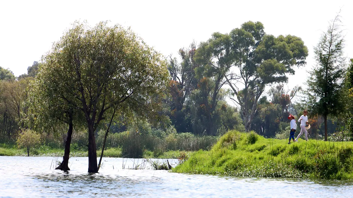 LAGUNA DE ACUITLAPILCO 4