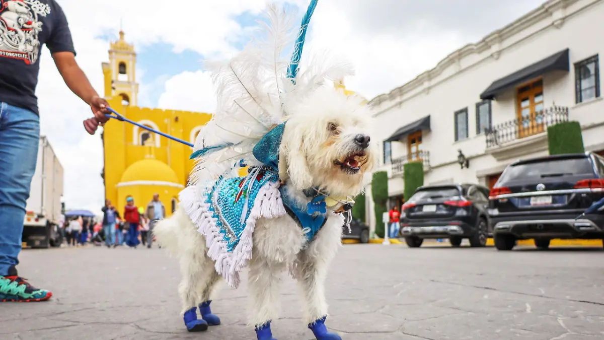 Cokis-carnaval-Mazatecochco-(1)
