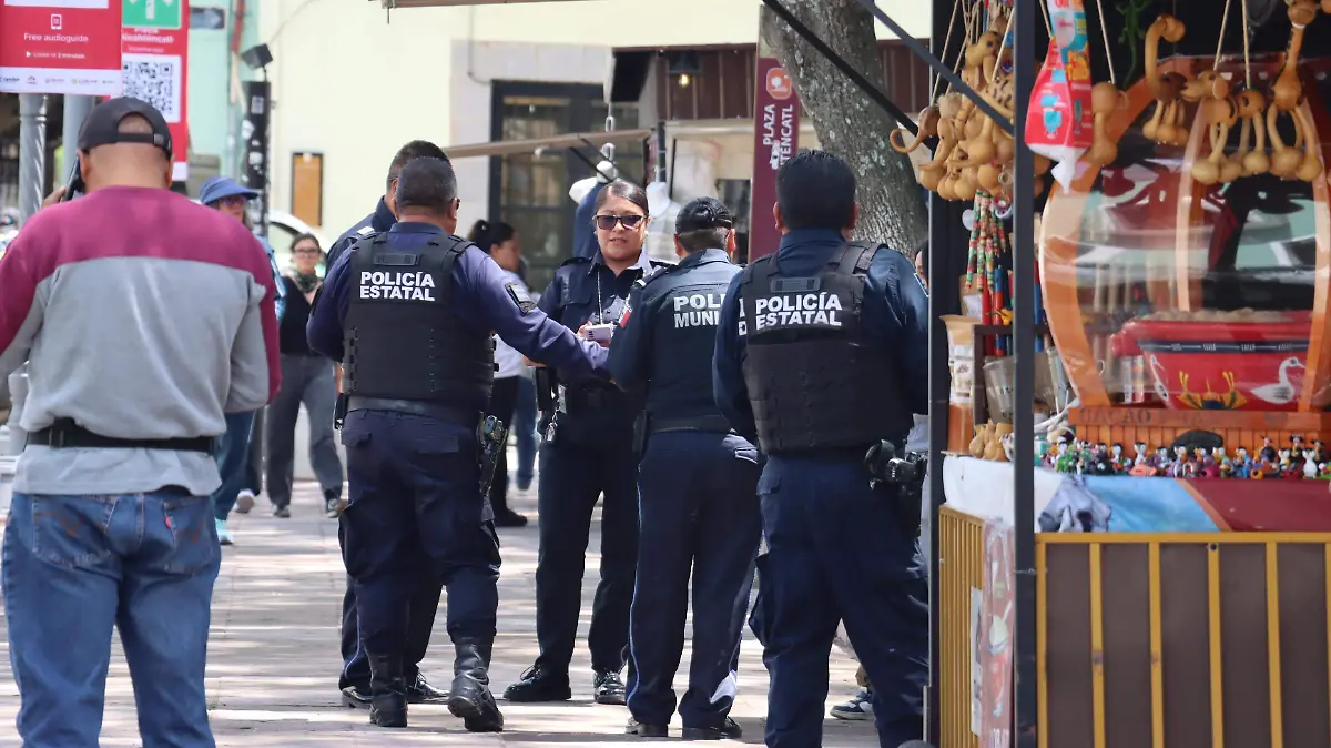 SEGURIDAD ESTATAL (2)