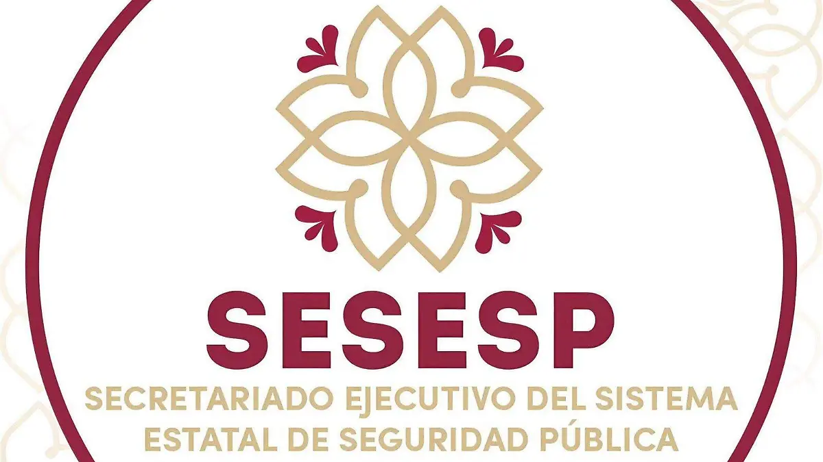 SESESP reporta intento de vandalismo informático en su página oficial
