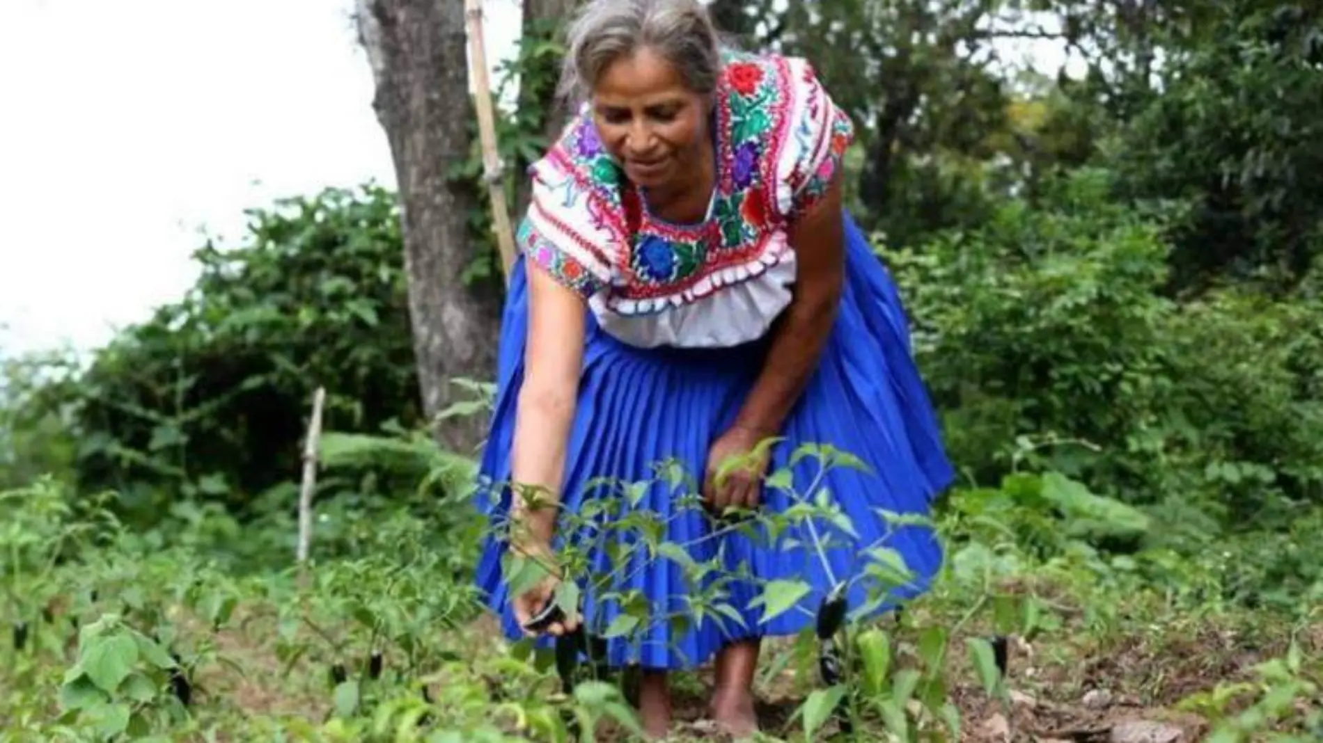 mujeres